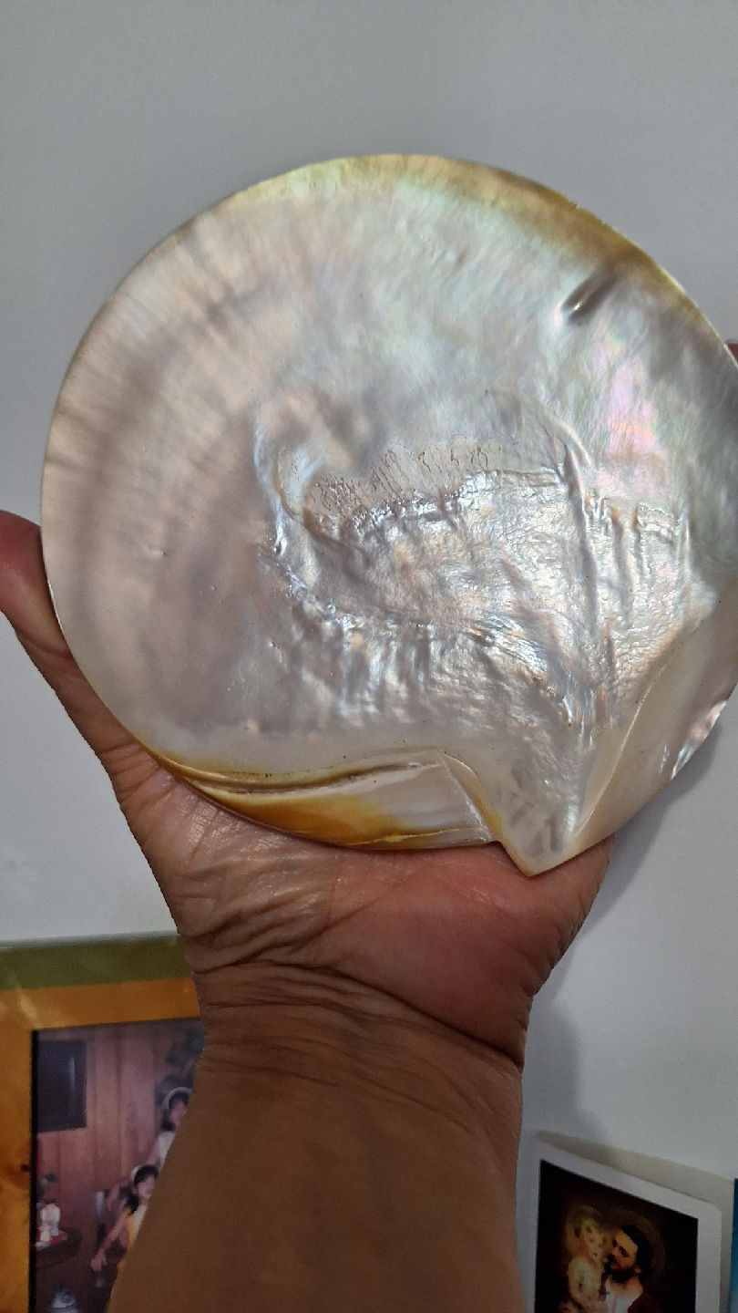 Mother of Pearl Shell Discs - photo 2