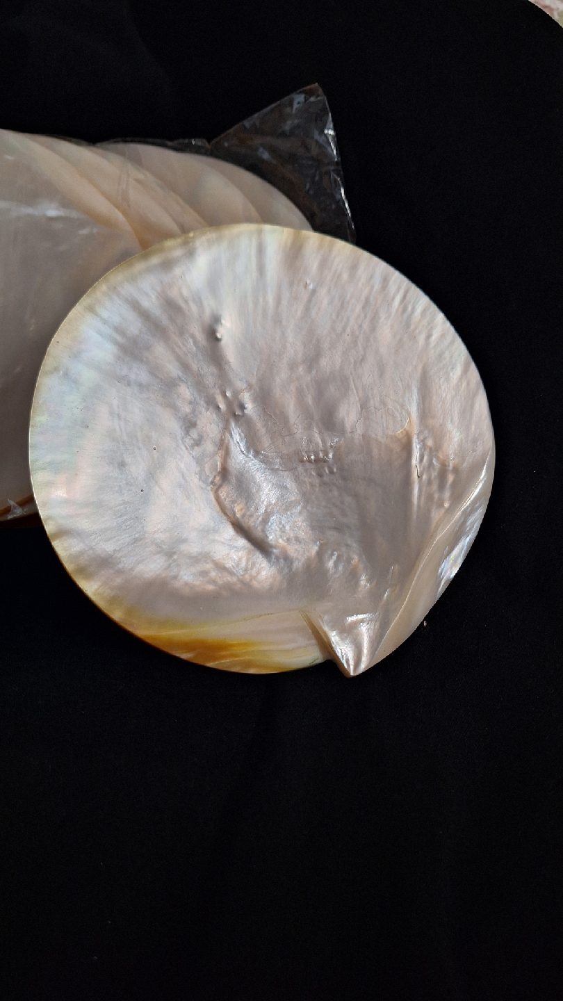Mother of Pearl Shell Discs - photo 3