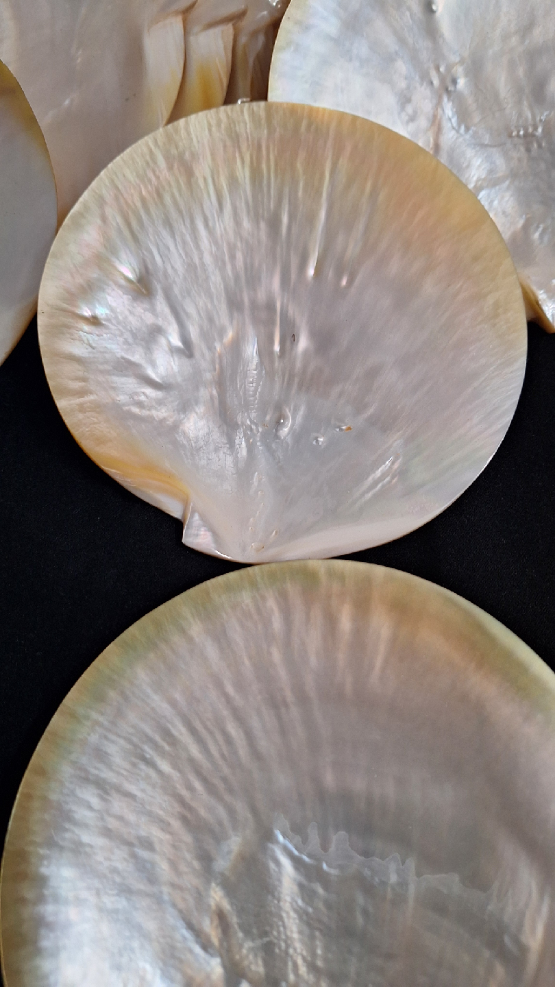 Mother of Pearl Shell Discs - photo 4
