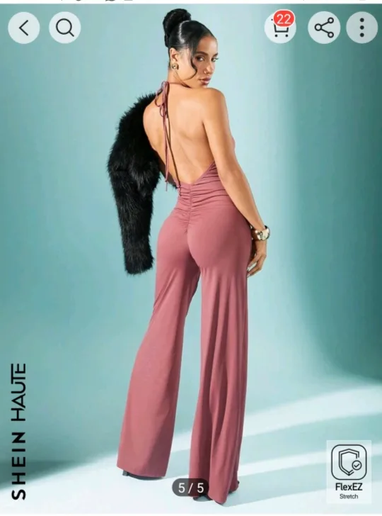 ISO WANTED Shein Haute Jumpsuit image indicator(2)