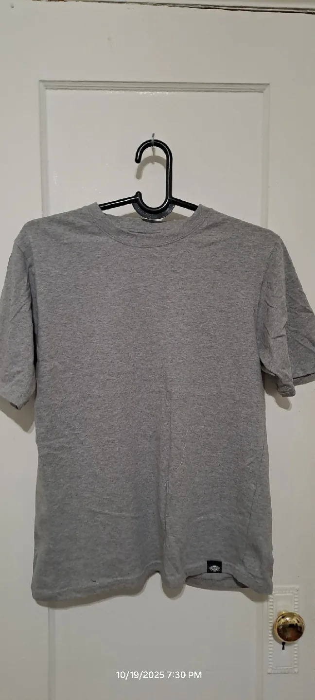 Dickies color tee/shirts image indicator(2)
