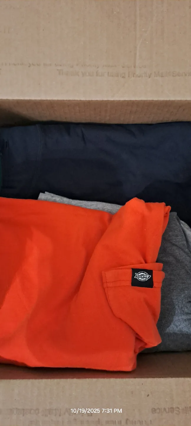 Dickies color tee/shirts image indicator(3)