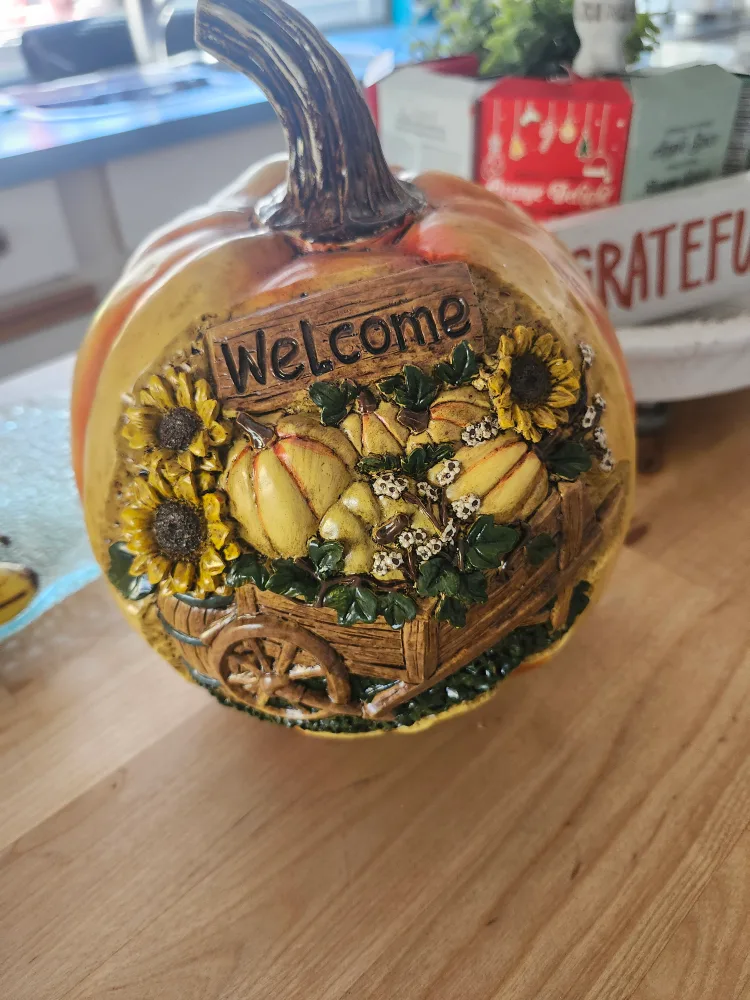 Ashland Fall Décor Tabletop Pumpkin Decoration image indicator(4)