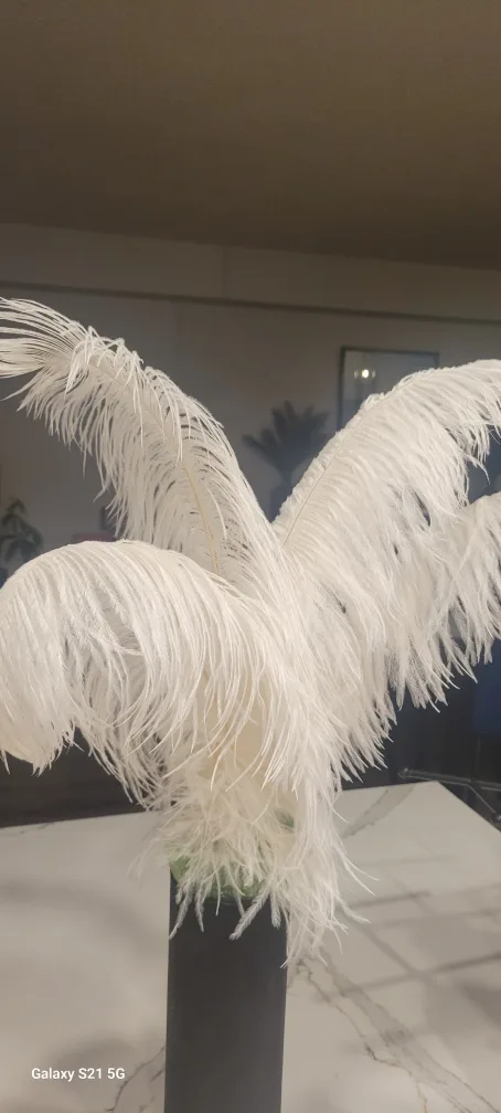 Ostrich Feather Decor
