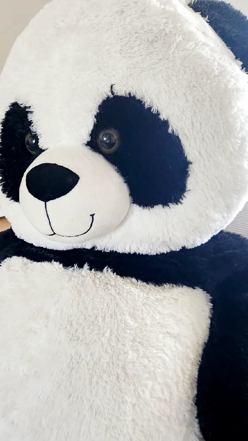 Giant Panda Plush Toy image indicator(4)