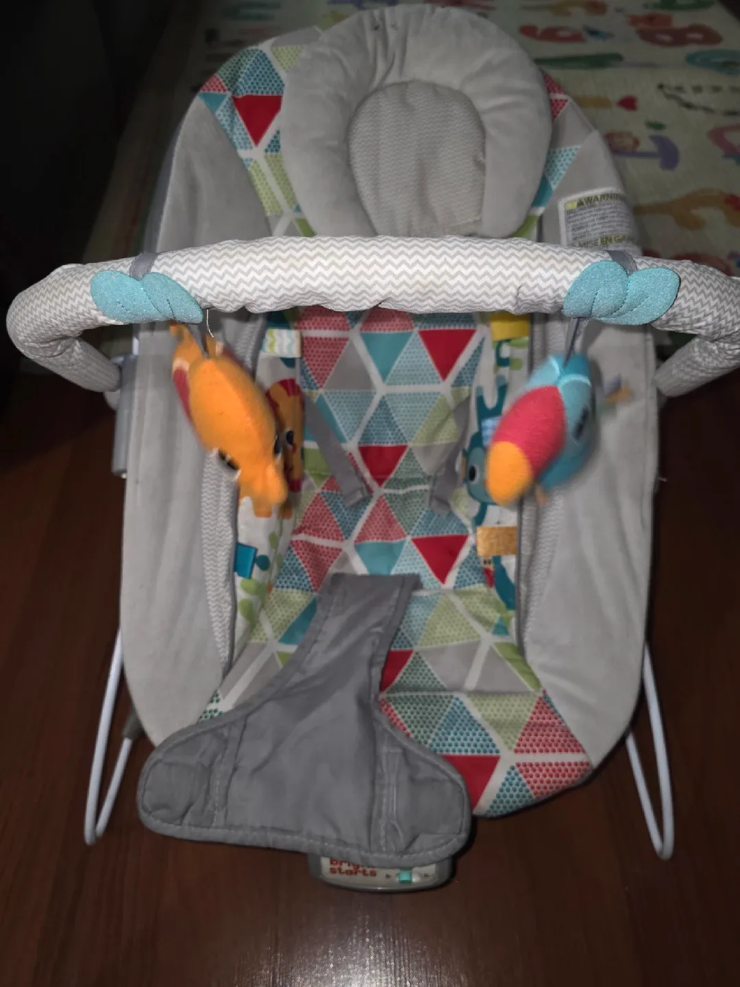 Bright Starts Baby Bouncer thumbnail