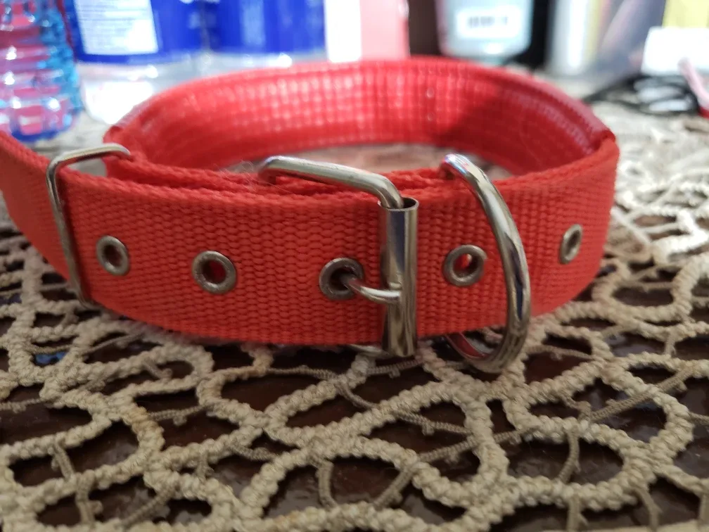 Red Dog Collar new never used image indicator(3)