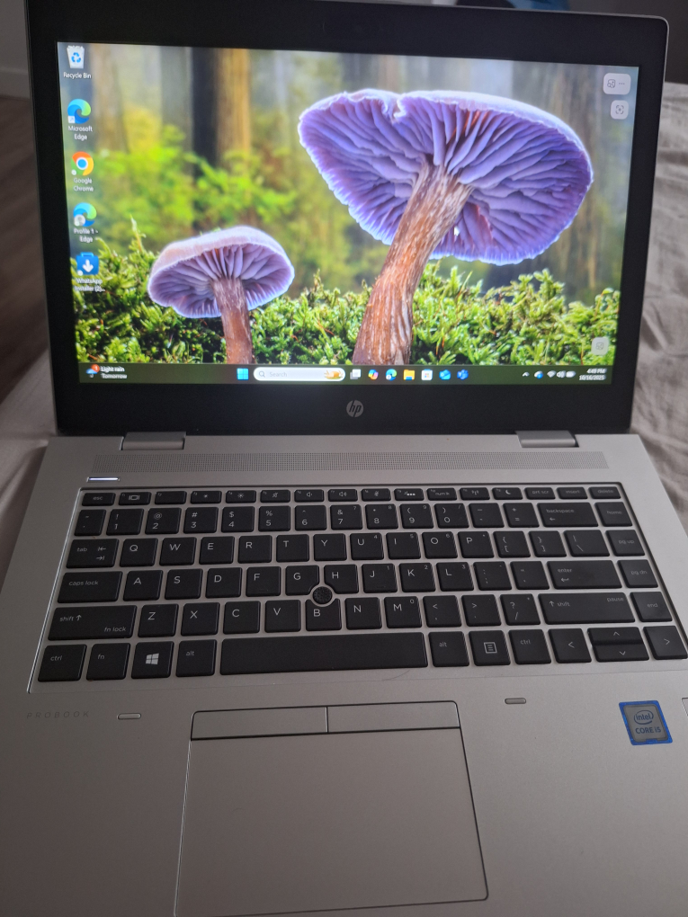 HP ProBook Laptop - photo 3