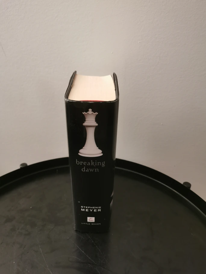 Breaking Dawn (Twilight Saga) - photo 3