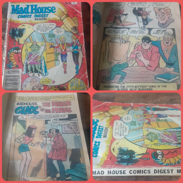 Mad House Comics Digest Magazine (1979) #5 image indicator(3)