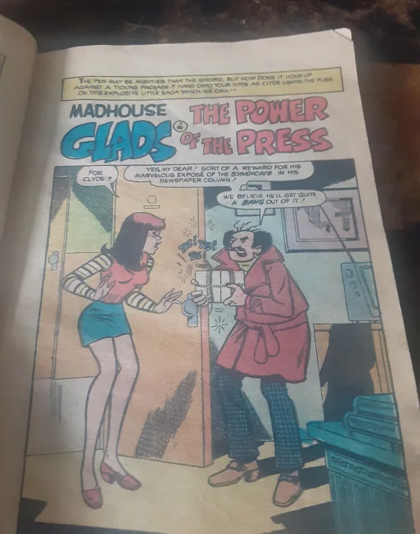 Mad House Comics Digest Magazine (1979) #5 image indicator(6)