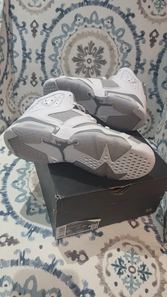 Air Jordan 6 Retro (GS) - Size 6Y image indicator(8)