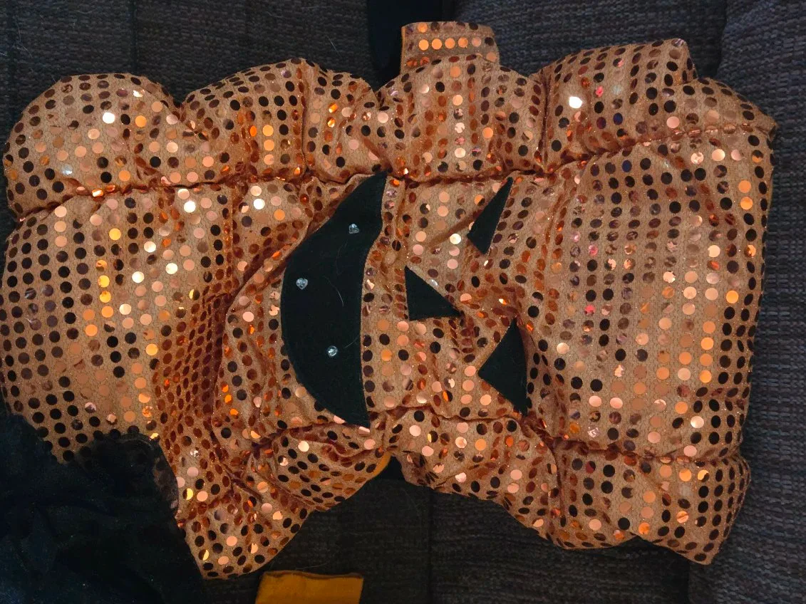 pumpkin toddler and dog Costume 12-18M image indicator(3)