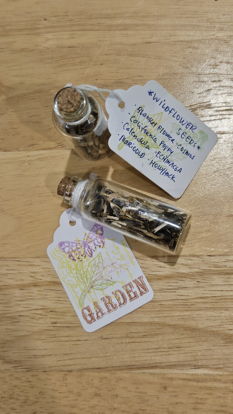 💐 Wildflower Seed Garden Mix 🌼 Prep Spring 2026