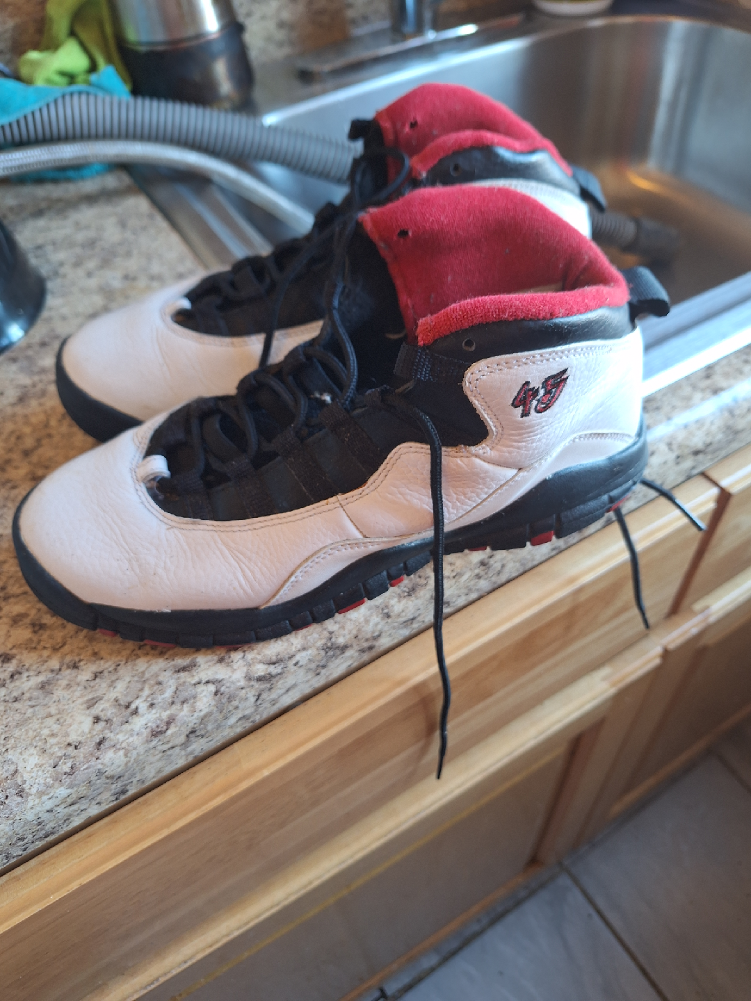 Air Jordan 10 Retro Shoes