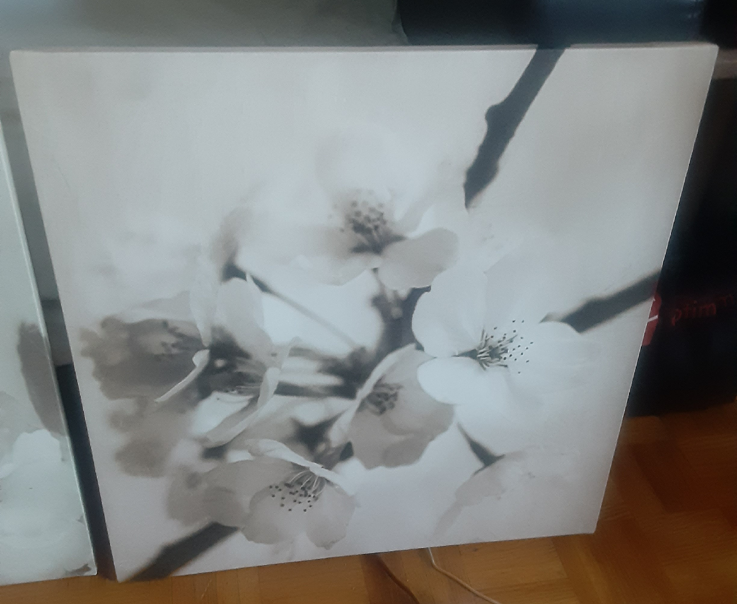 3pc Set Flower Art Print