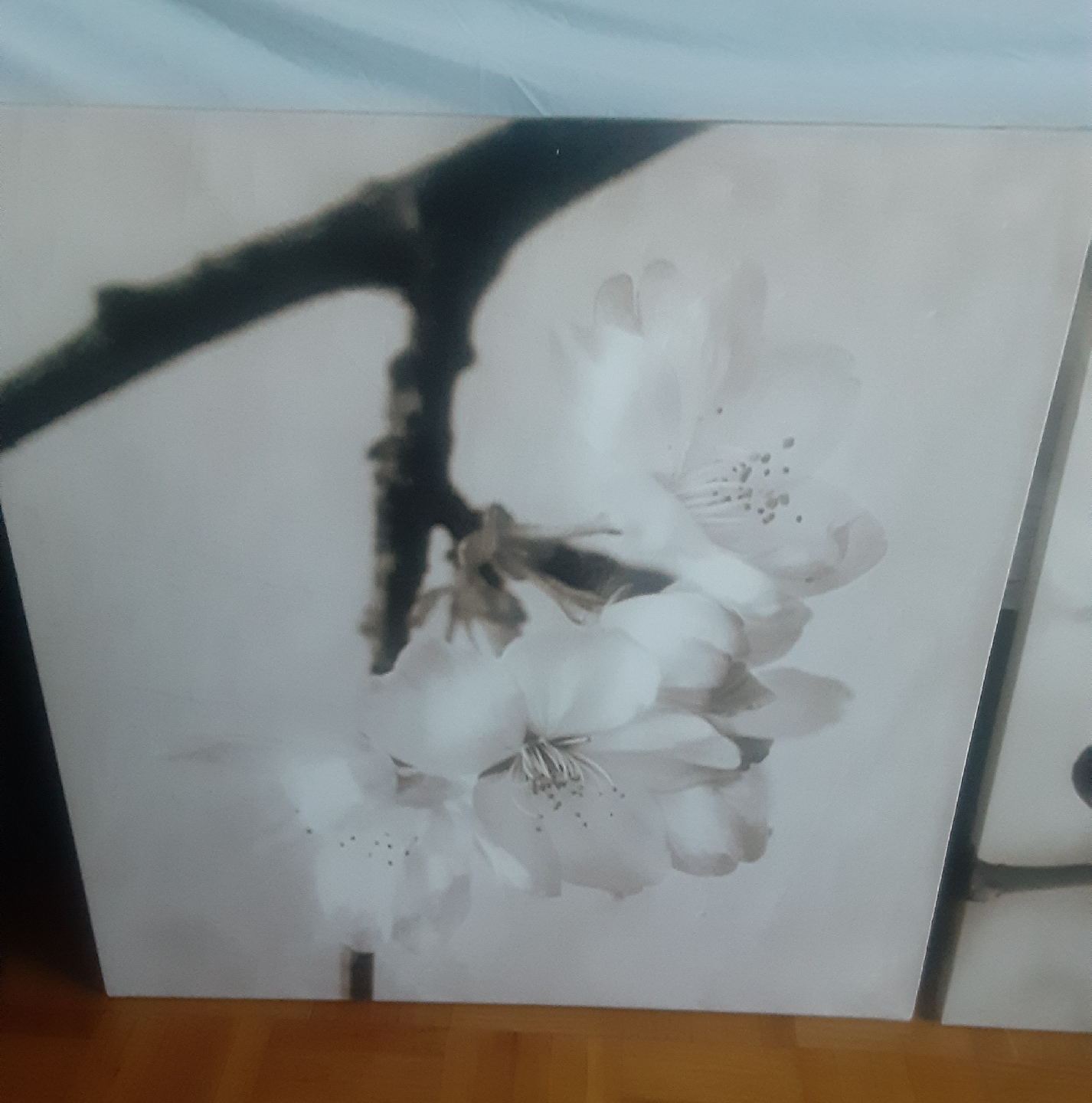 3pc Set Flower Art Print - photo 3