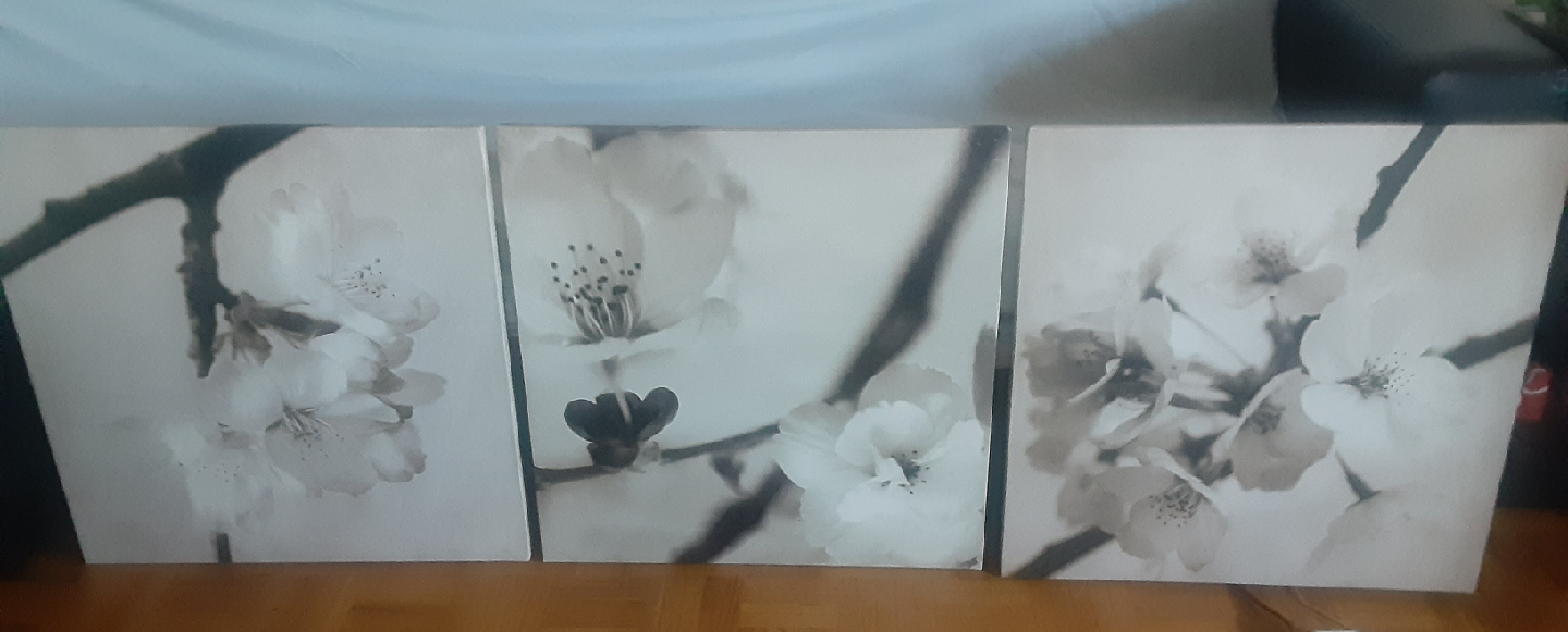 3pc Set Flower Art Print - photo 4