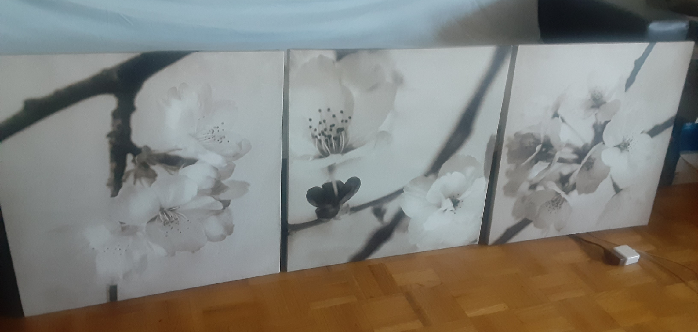 3pc Set Flower Art Print - photo 5