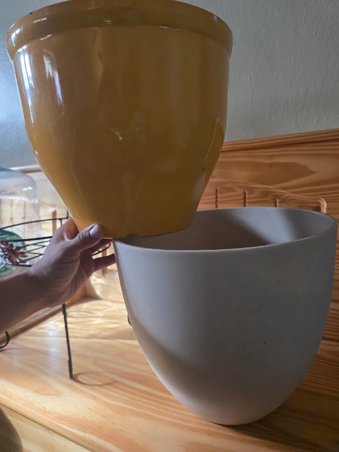 🪴 plant chair 1 image indicator(2)