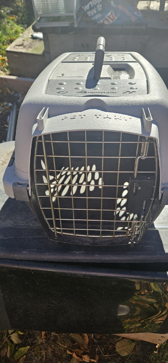 Pet Taxi Carrier