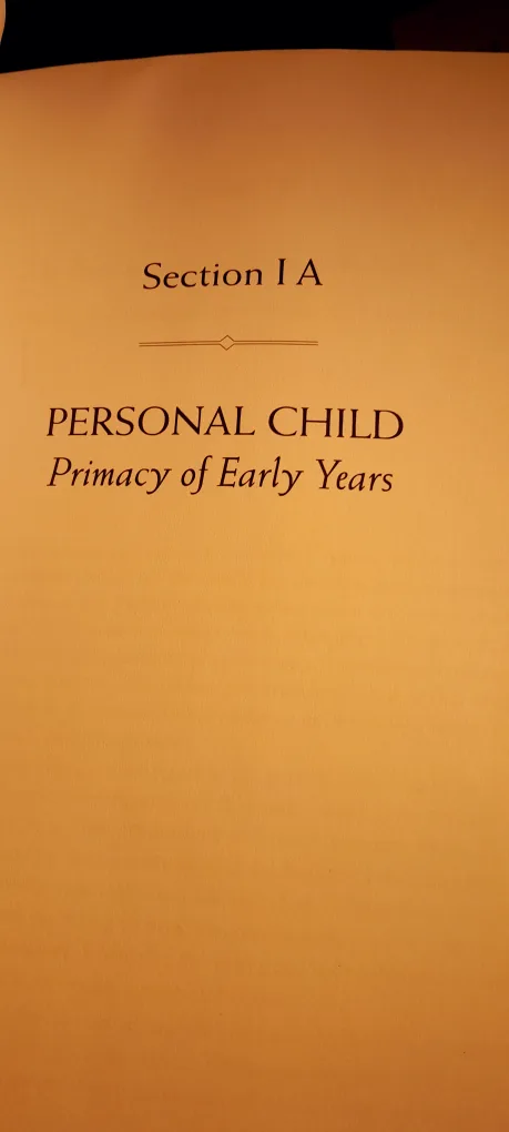 Child Honouring: How to Turn This World Around image indicator(3)