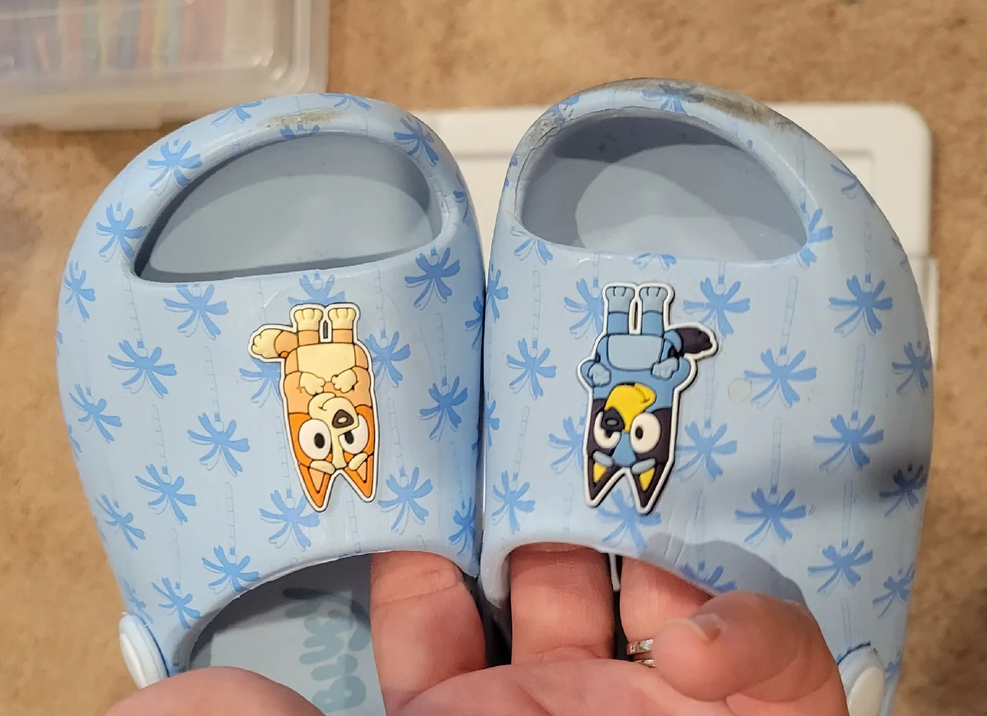 Bluey Clogs - Size 8 image indicator(3)