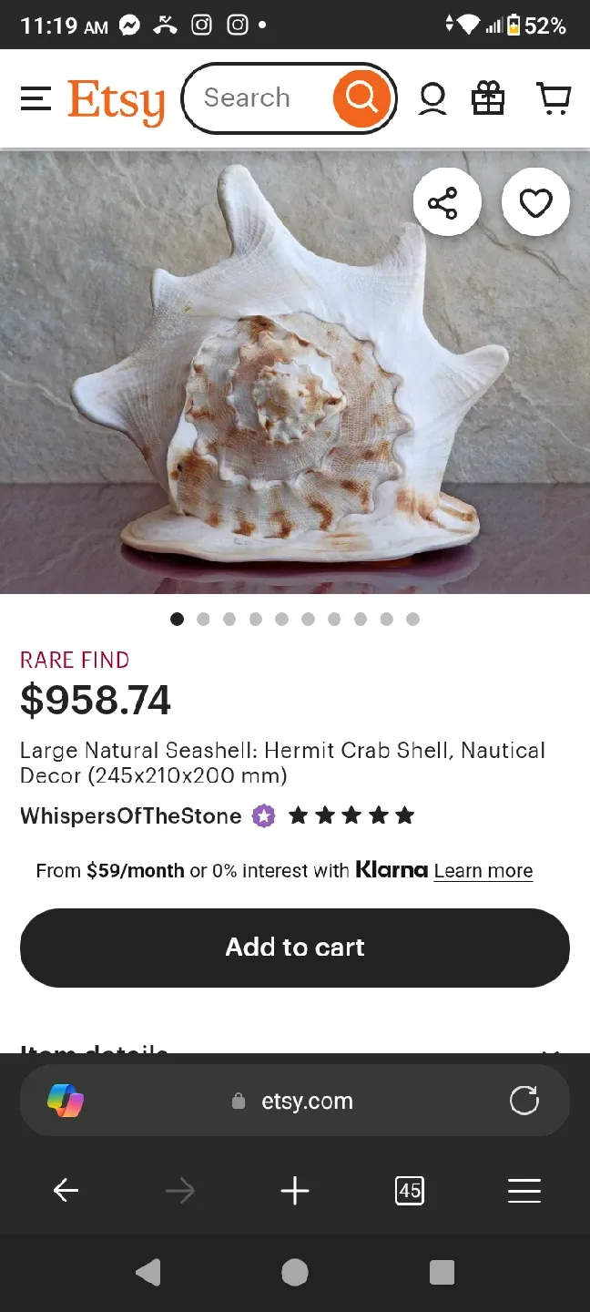 Large Conch Seashell image indicator(9)