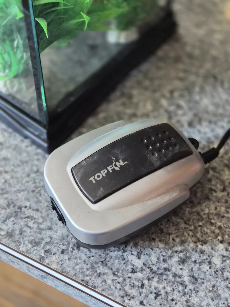 3 Gallon Fish Tank with accessories image indicator(6)