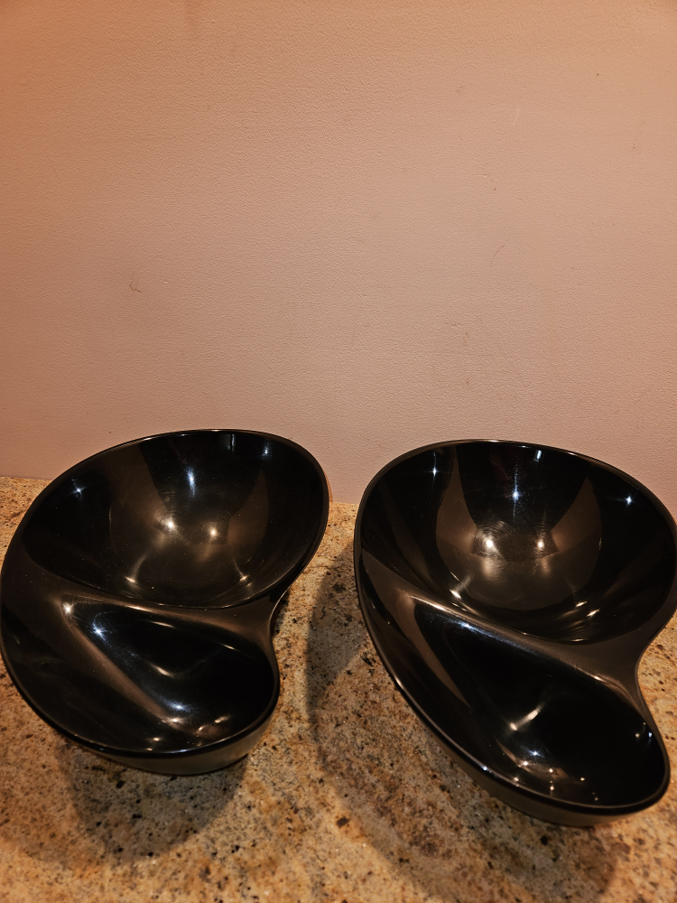Pair of Black Serving Dishes