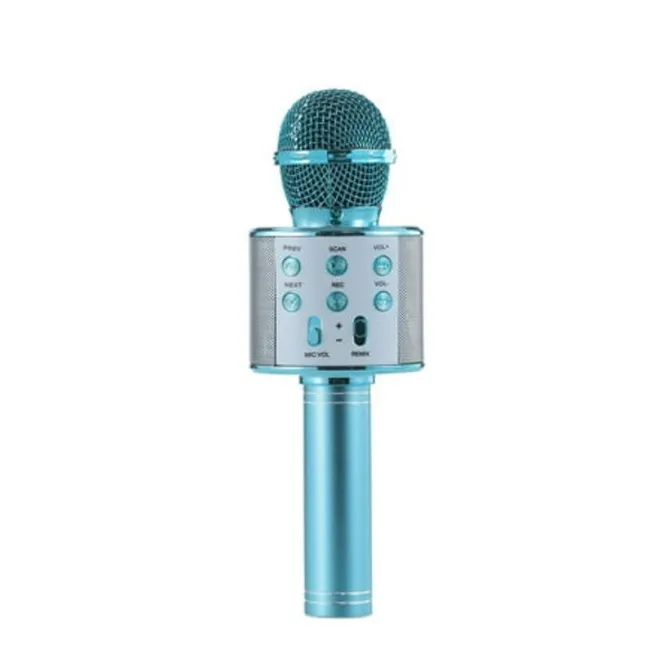 Karaoke Microphone Singing Toy