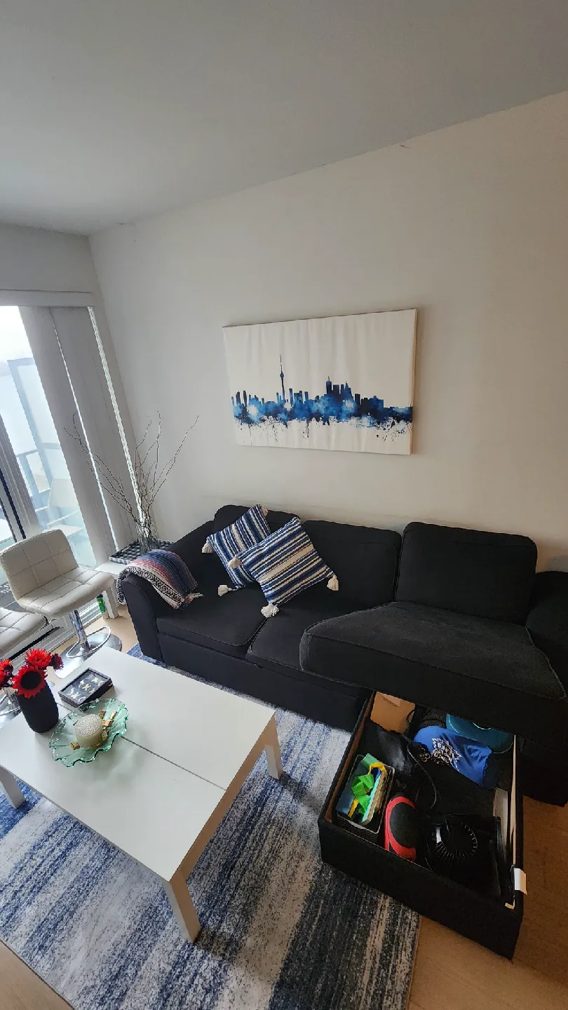 Black sofabed with integrated storage image indicator(2)