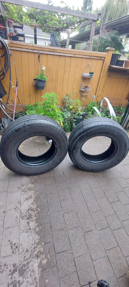 P265/70R17 113H Tires - Set of Two - photo 5