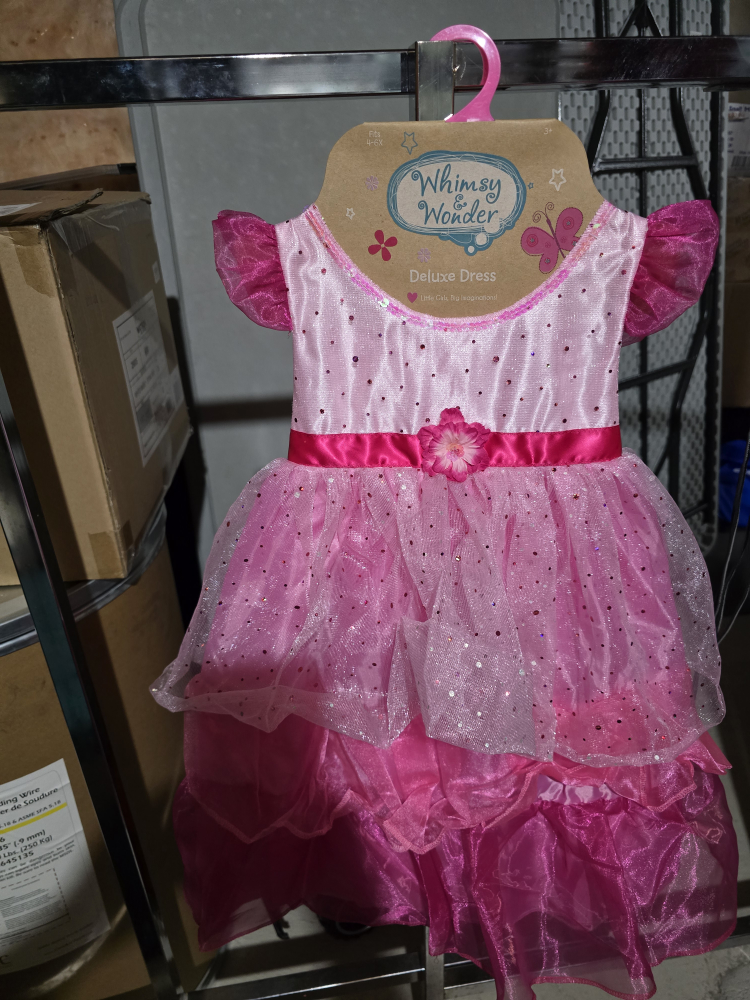 Disney Princess Dress Up Costumes - photo 3