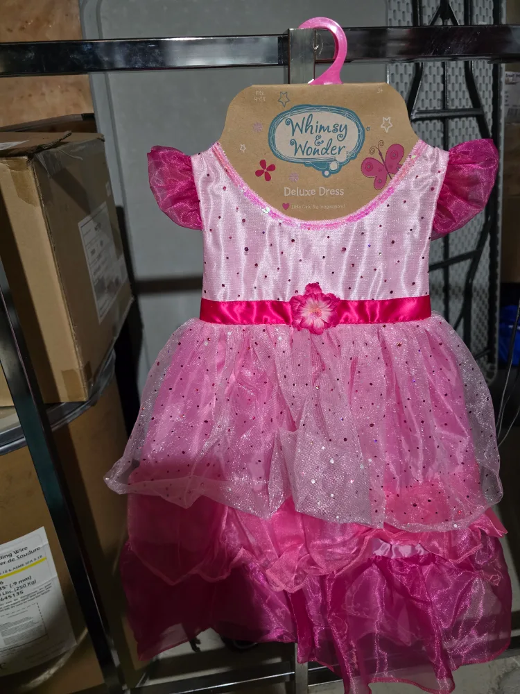 Disney Princess Dress Up Costumes image indicator(3)