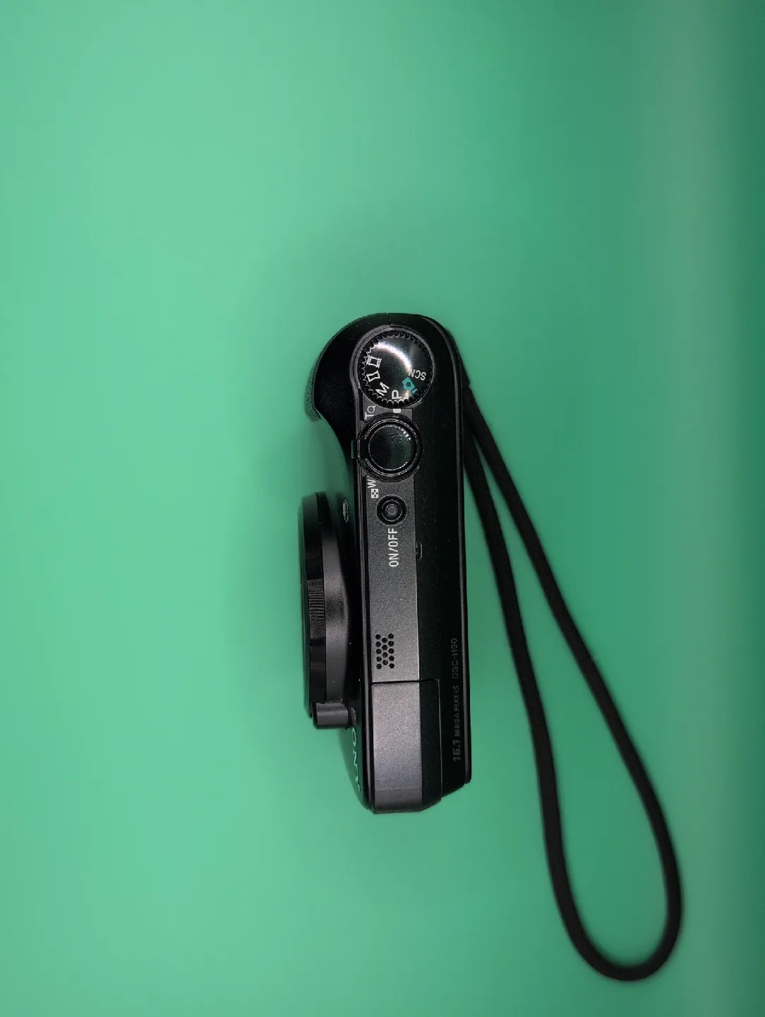 Sony Cyber-shot DSC-H90 Digital Camera image indicator(4)