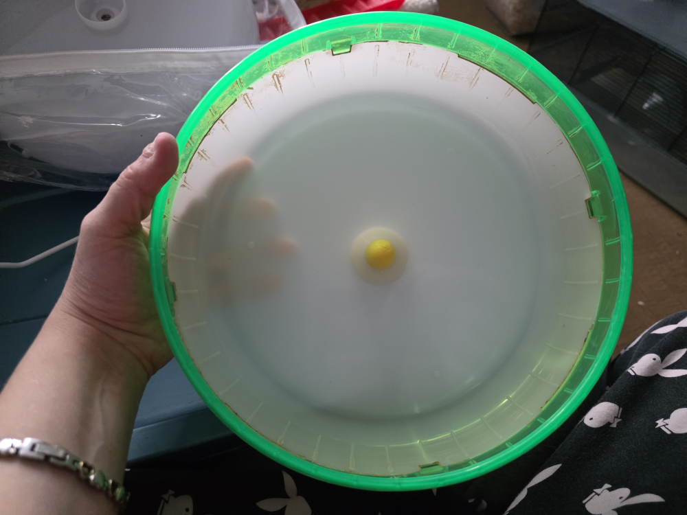 10" hamster wheel