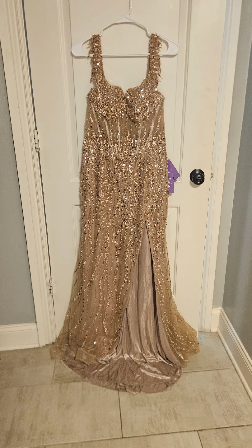 Ladivine by Cinderella Divine Moca Gold Long Dress L image indicator(2)