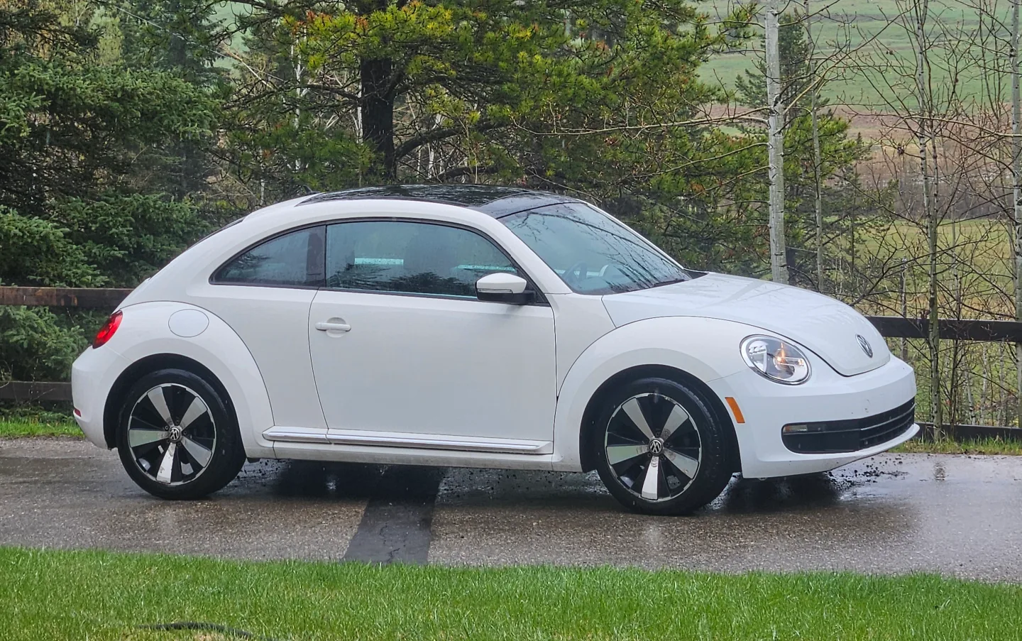 Volkswagen Beetle image indicator(4)