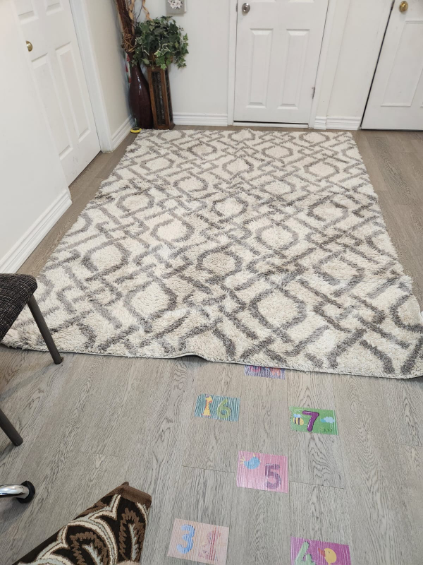 Home Decorators Collection Shag Area Rug 6ft x 9ft