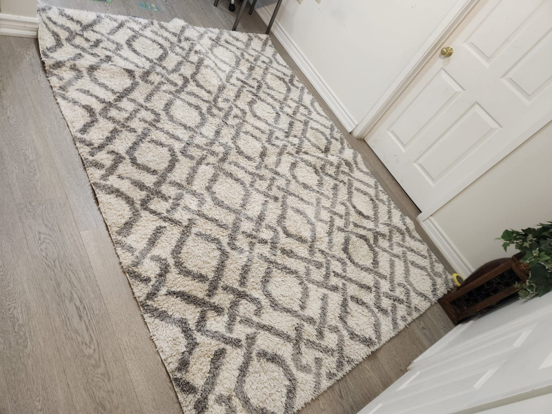 Home Decorators Collection Shag Area Rug 6ft x 9ft - photo 2