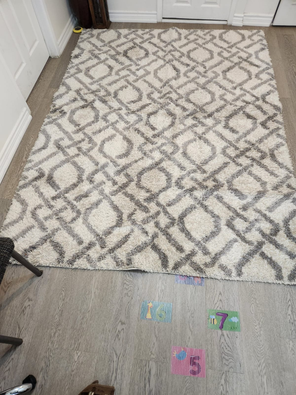 Home Decorators Collection Shag Area Rug 6ft x 9ft - photo 3