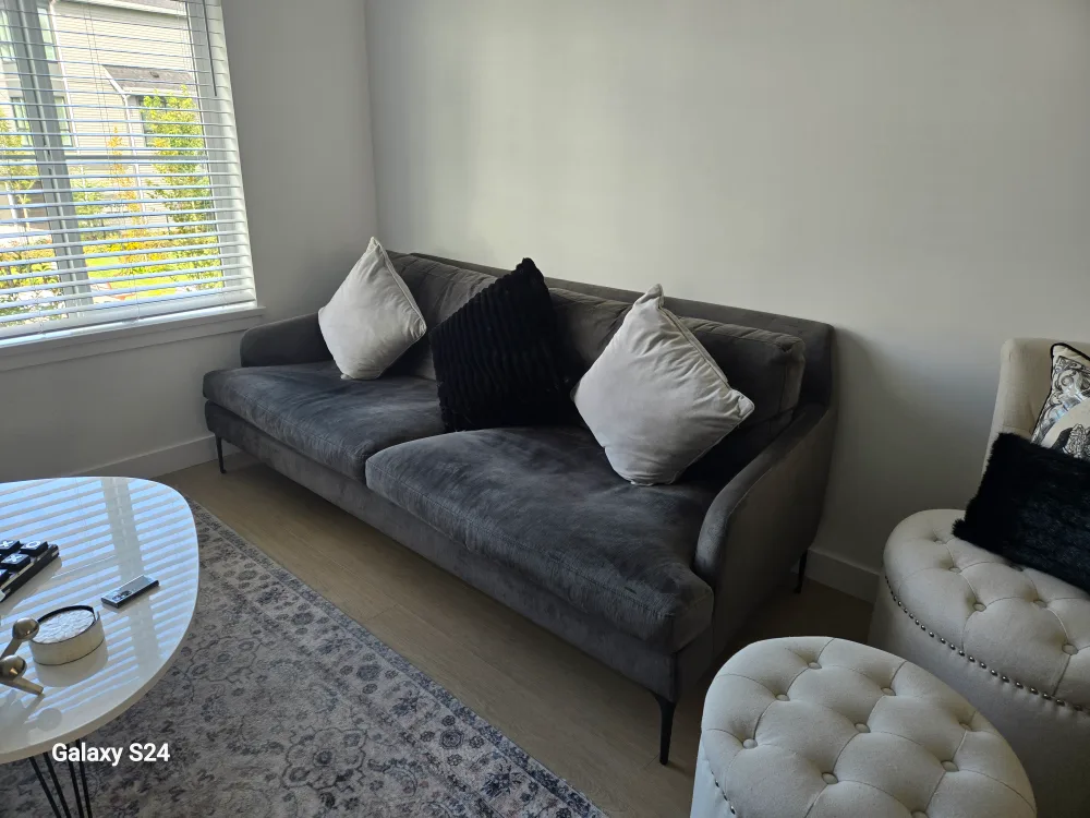 Gorgeous dark grey velvet couch image indicator(2)