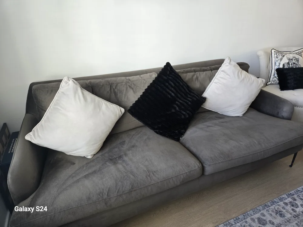 Gorgeous dark grey velvet couch image indicator(3)
