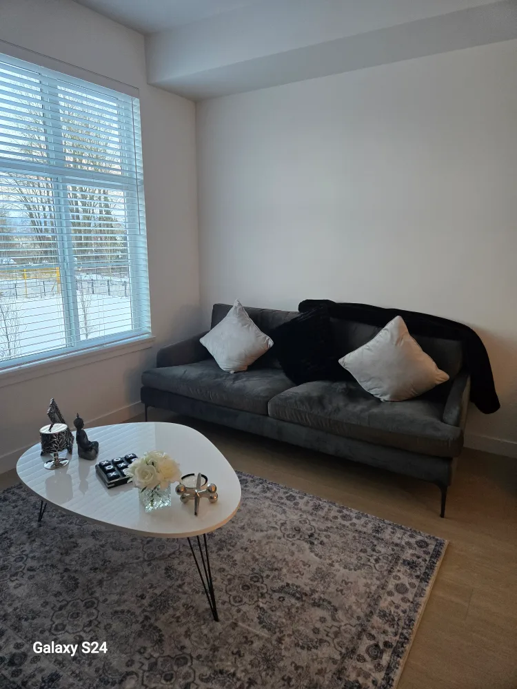 Gorgeous dark grey velvet couch image indicator(4)