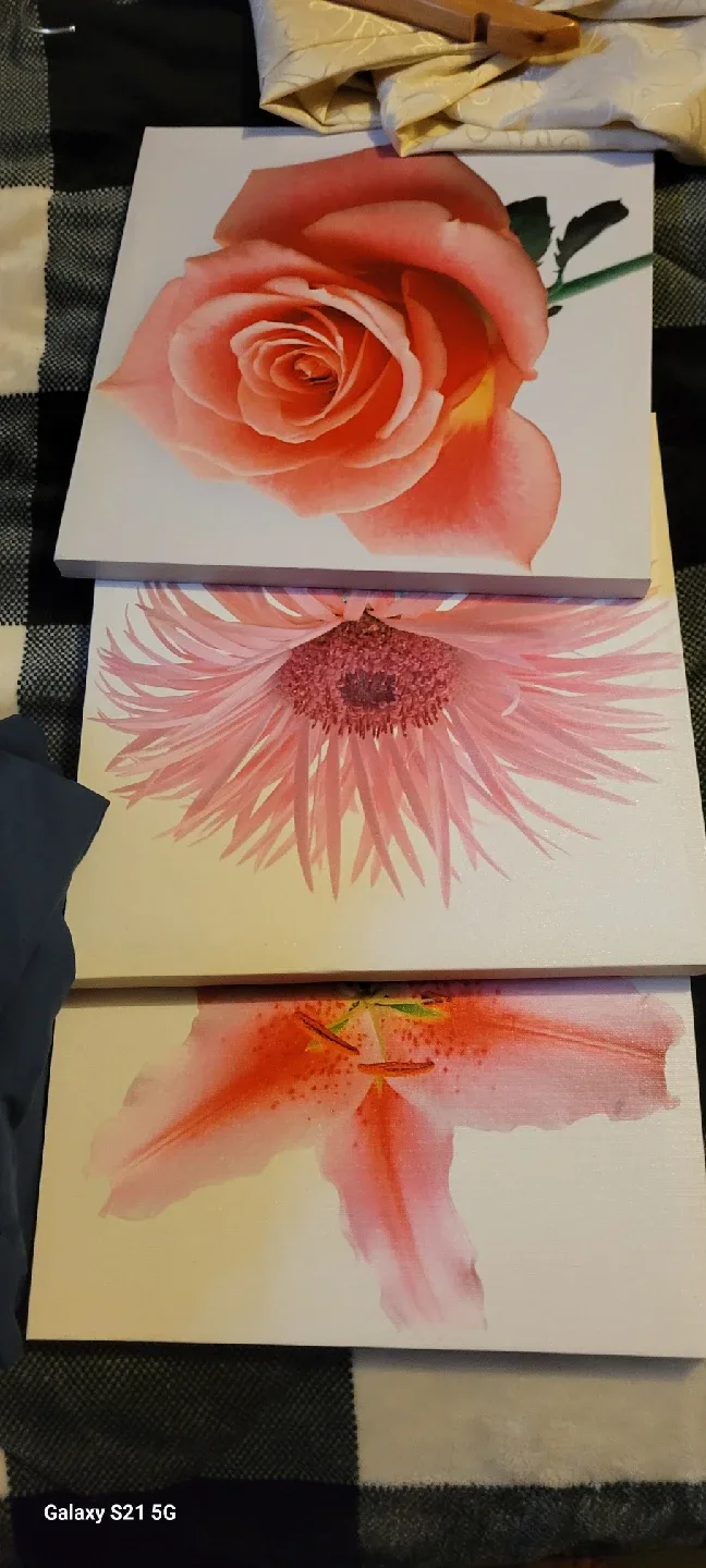 Floral Canvas Wall Art Set