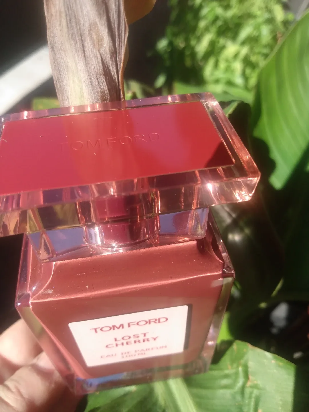 Tom Ford Lost Cherry Eau de Parfum 100ml image indicator(2)