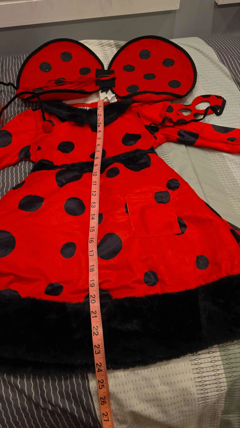 Ladybug Halloween Costume - Size S thumbnail