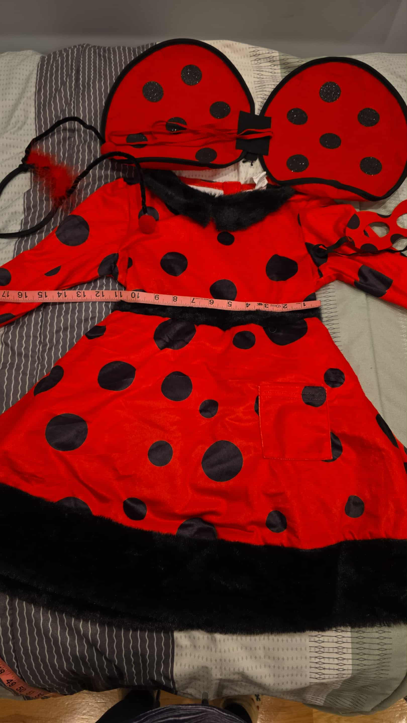 Ladybug Halloween Costume - Size S - photo 3
