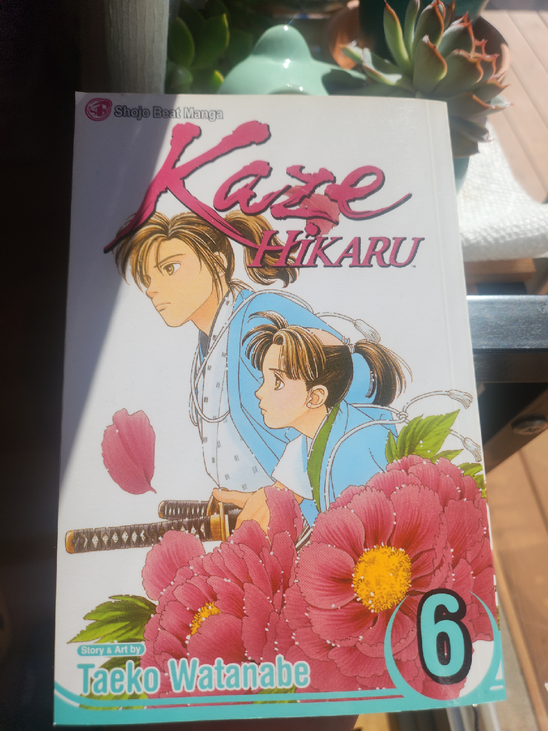 Kaze Hikaru Manga Vol. 6 by Taeko Watanabe